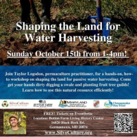 Shaping the Land For Water Harvesting